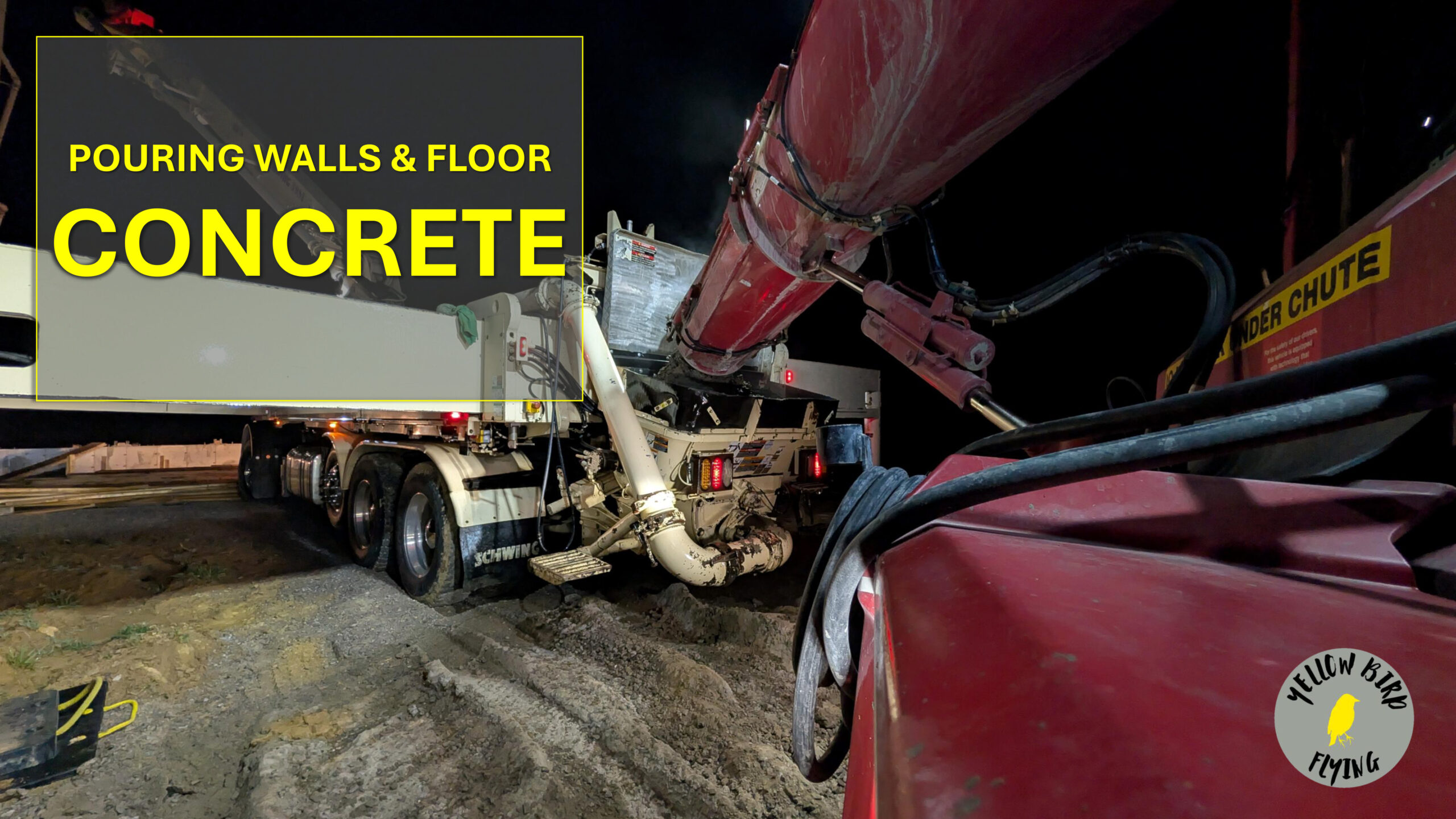 Yellow Bird Flying Pouring Concrete Walls and Floor